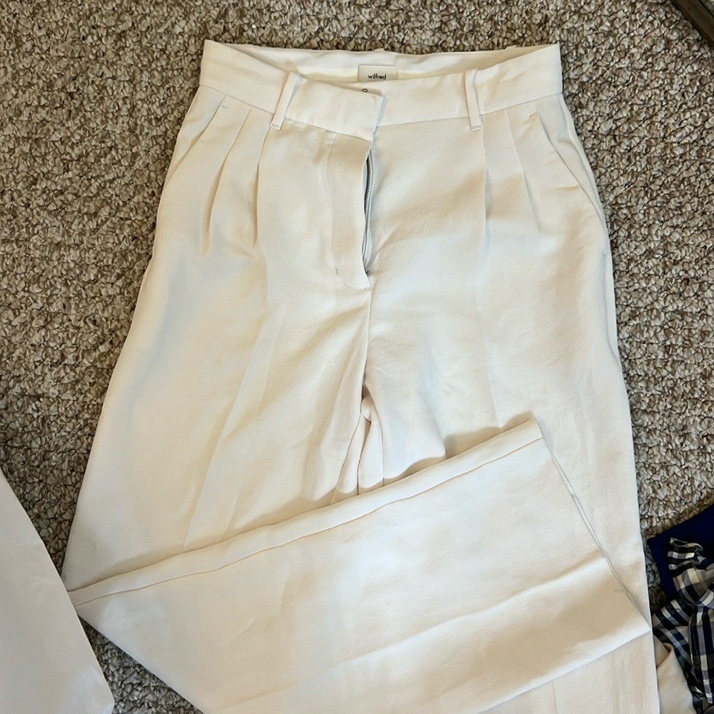 Aritzia trousers